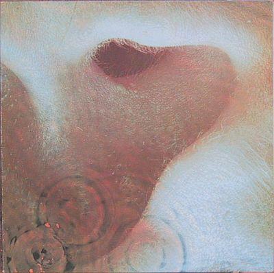   Pink Floyd